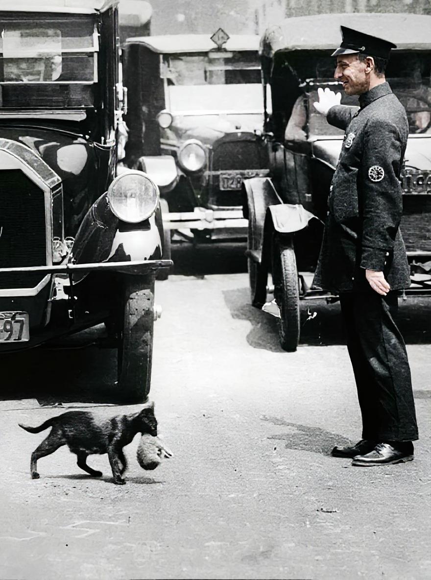 Restored street scene with cat